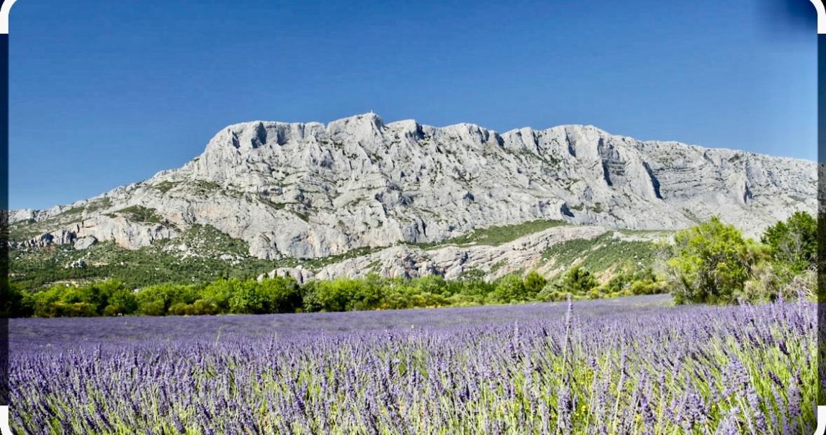 Joli Le Clos D'aix Avec Grande Terrasse Piscine Et Parking Gratuit